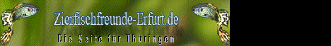 Zierfischfreunde Erfurt